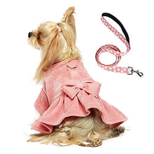 Load image into Gallery viewer, Fitwarm Dog Harness Dress with Leash Set Comfy Puppy Girl Skirt Doggy One-Piece with D Ring Pet Clothes for Walk Doggie Outfits Cat Apparel Pink Small