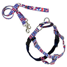 Load image into Gallery viewer, 2 Hounds Design Freedom No Pull Dog Harness and Leash | Adjustable Gentle Comfortable Control for Easy Dog Walking |for Small Medium and Large Dogs | EarthStyle Designs | Made in USA