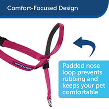 Load image into Gallery viewer, PetSafe Gentle Leader Headcollar, No-Pull Dog Collar, Perfect for Leash &amp; Harness Training, Stops Pets from Pulling and Choking on Walks, Medium, Black