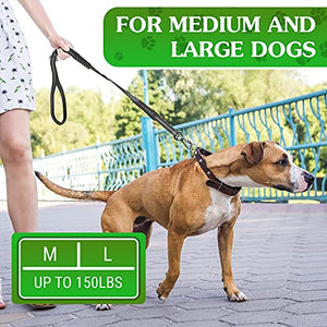 Heavy Duty Dog Leash 4-6Ft Length – Reflective Dog Leash for Medium, Large Dogs – Shock Absorbing Bungee Dog Leash with Zinc Alloy Carabiner, Traffic Control Handle and Safety Lock