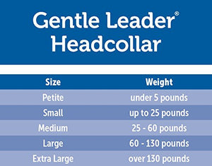 PetSafe Gentle Leader Chic Head Collar, Medium, Donuts - GL-HC-C-M-DNT