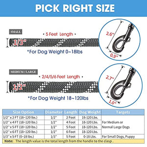 BAAPET 2/4/5/6 FT Strong Dog Leash with Comfortable Padded Handle and Highly Reflective Threads for Small Medium and Large Dogs (5FT-1/2'', Black)